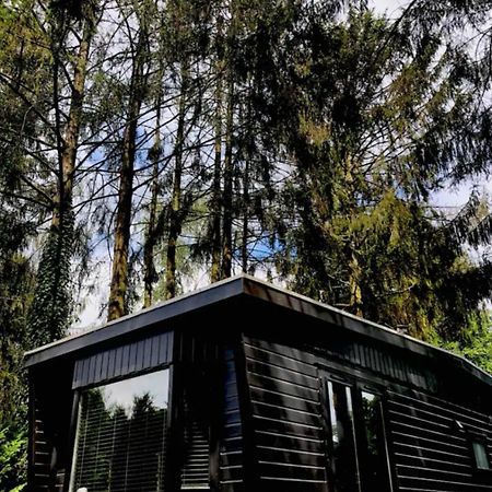 Heerlijk Chalet Midden In De Natuur Putten Luaran gambar
